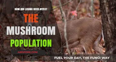 Impact of Deer Loss on Mushroom Populations