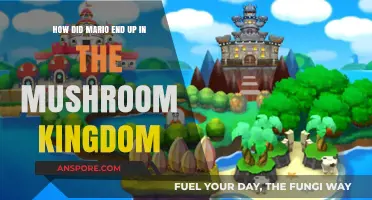 The Adventure Begins: Mario's Journey to the Mushroom Kingdom