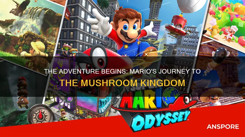 how did mario end up in the mushroom kingdom
