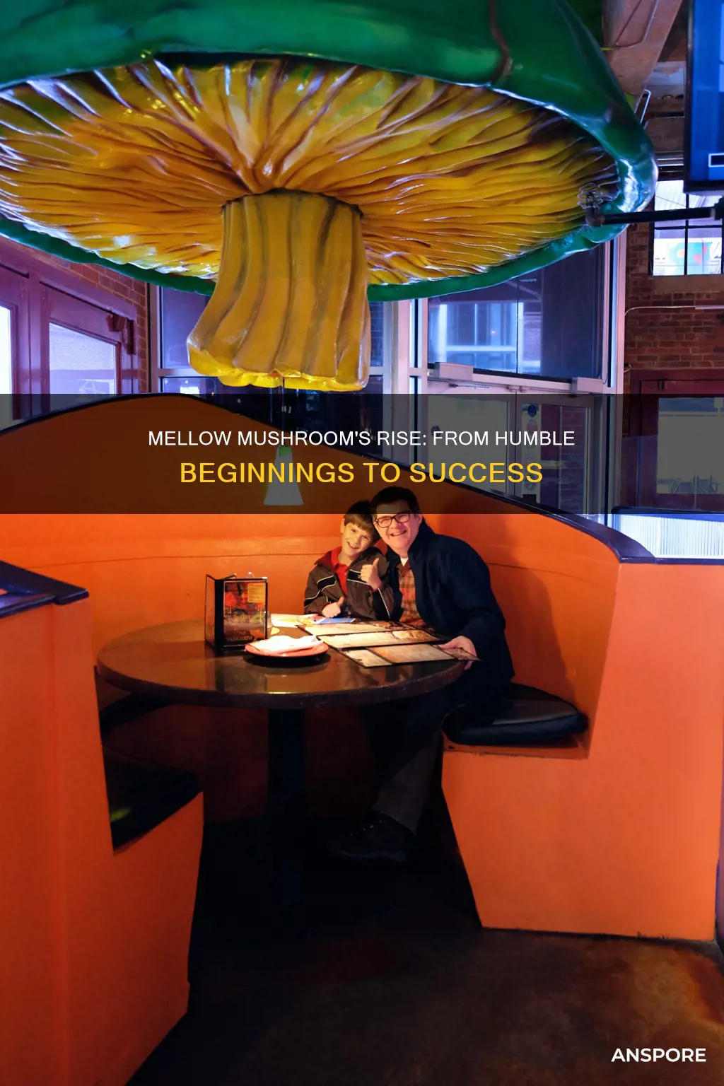how did mellow mushroom start