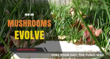The Evolution of Mushrooms: A Complex Past