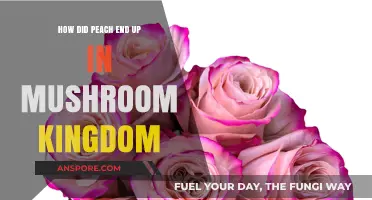 Peach's Journey: From Toadstool to Mushroom Kingdom Royalty