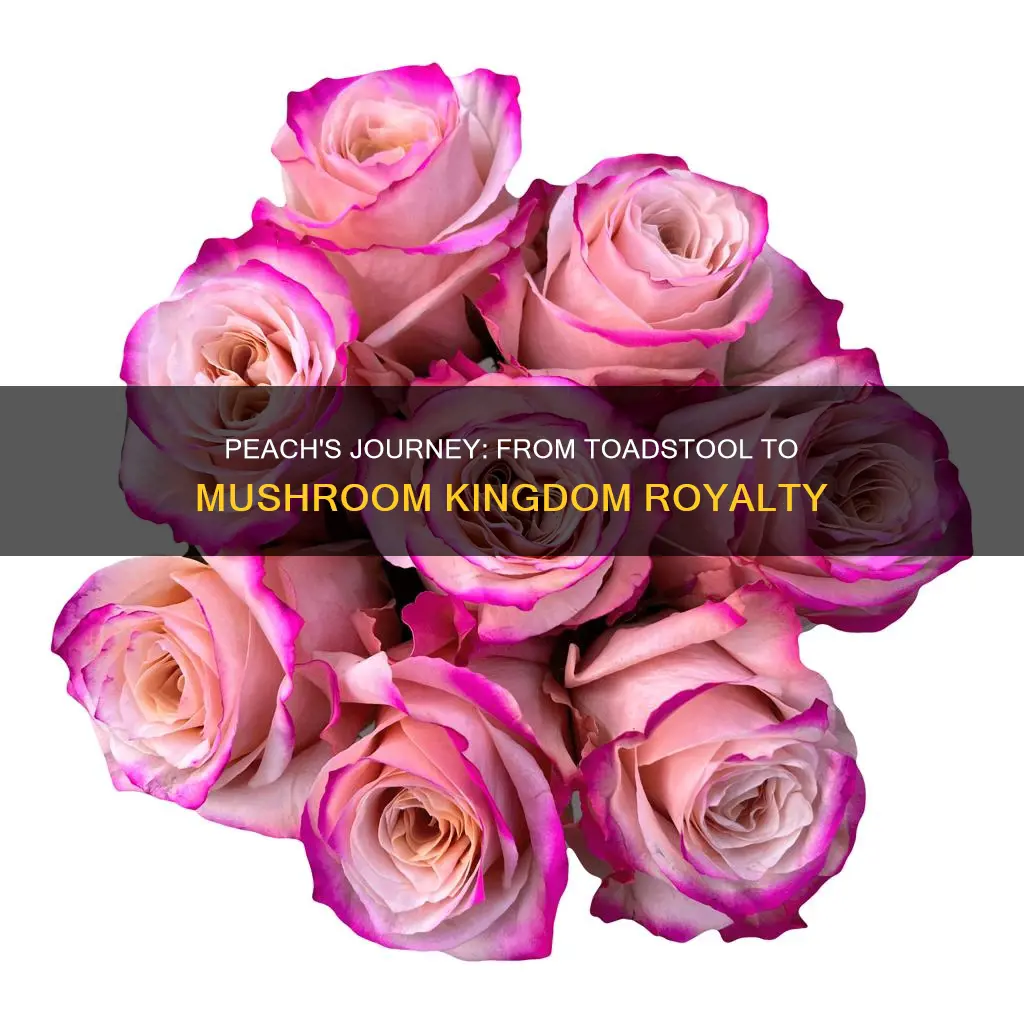 how did peach end up in mushroom kingdom