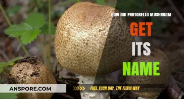 The Surprising Origin Story of the Portobello Mushroom's Name