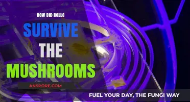 Surviving Poison: Rollo's Mushroom Mishap