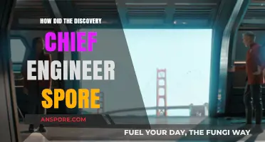 Unveiling the Discovery's Chief Engineer's Role in the Spore Mystery