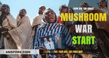 The Mushroom War's Origins