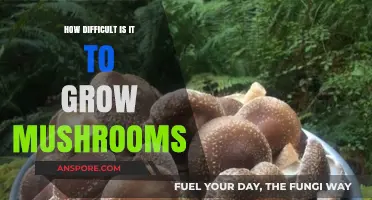 Mastering Mushroom Cultivation: Unveiling the Challenges of Growing Fungi