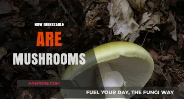 Mushrooms: Easy to Digest or Not?