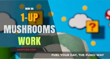 The Magic Behind 1-Up Mushrooms: Powering Mario's Adventures