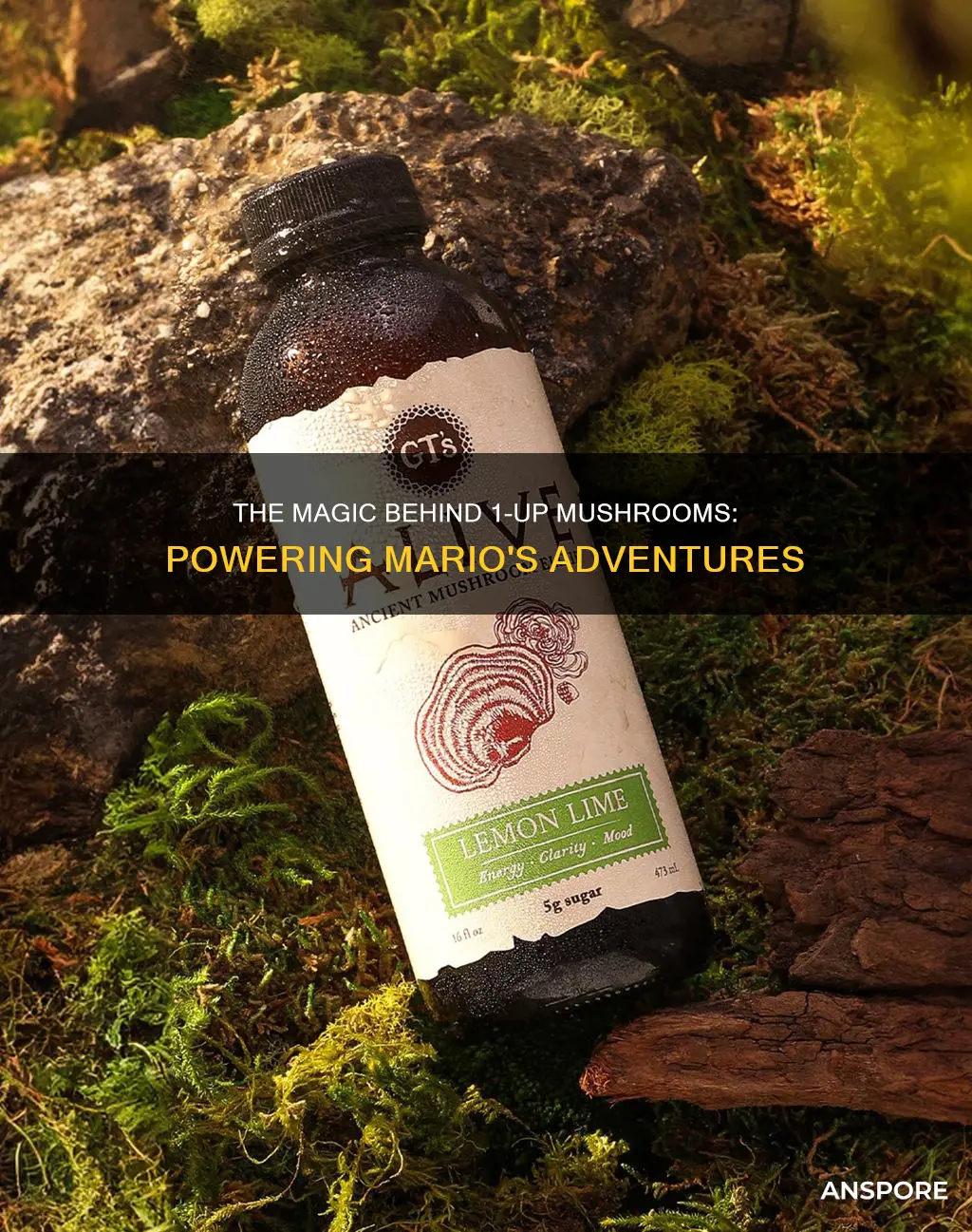 how do 1-up mushrooms work