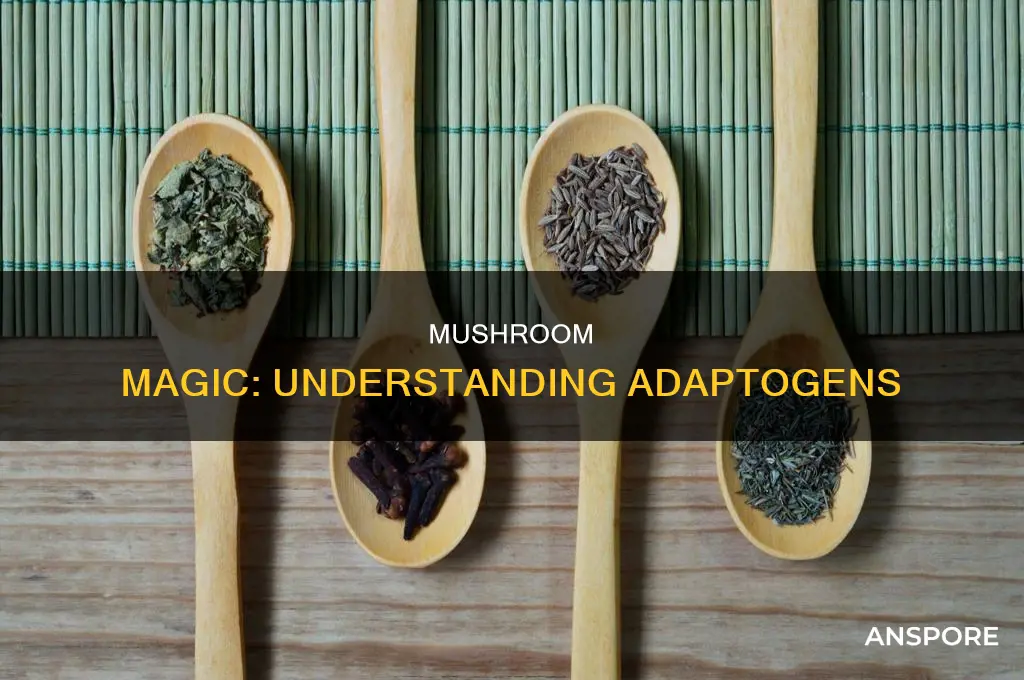 how do adaptogenic mushrooms work