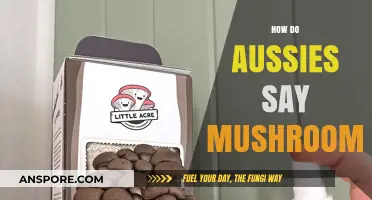 Aussie Slang: Mushies and Shrooms