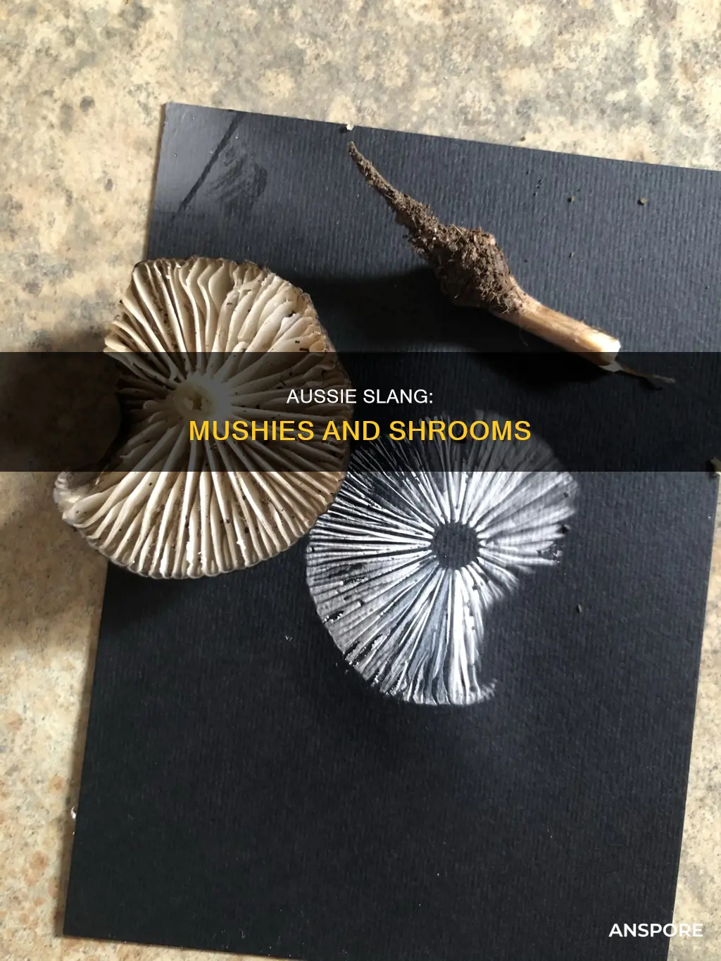 how do aussies say mushrooms