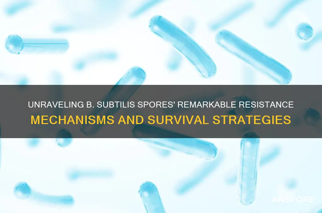 how do b subtillis spores make it resistant