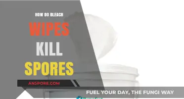Bleach Wipes vs. Spores: How They Effectively Kill and Disinfect