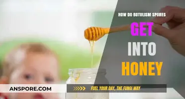 Understanding Botulism Spores: How They Contaminate Honey and Pose Risks