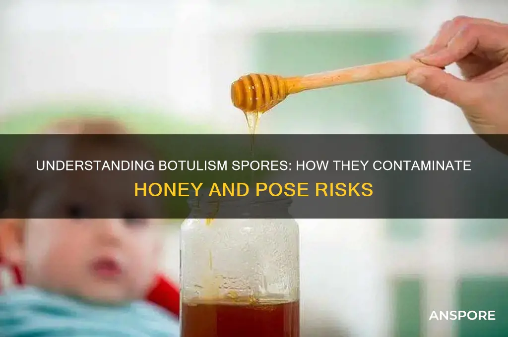 how do botulism spores get into honey