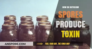 Unveiling Botulism: How Spores Produce Deadly Toxins in Food