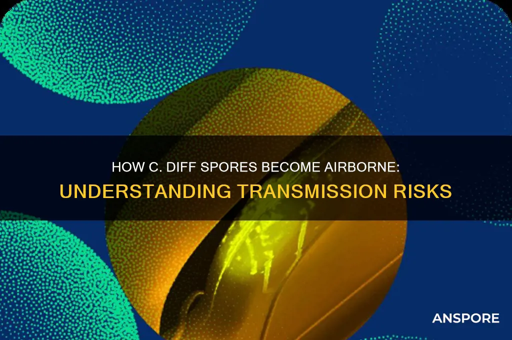 how do c diff spores become airborne