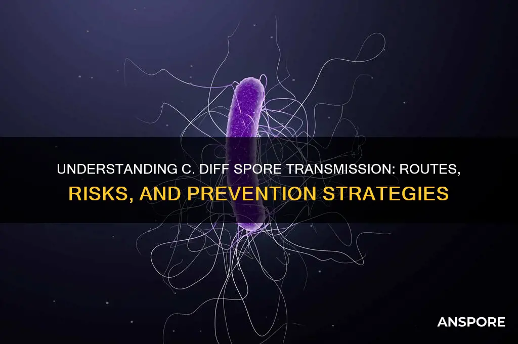 how do c diff spores pread