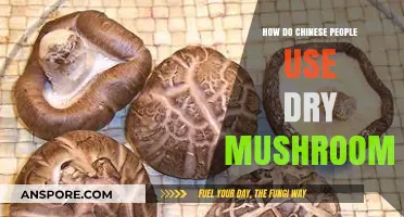 Exploring Chinese Culinary Secrets: The Art of Using Dry Mushrooms