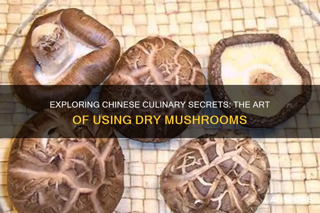how do chinese people use dry mushrooms