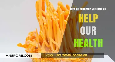 Cordyceps: Nature's Ancient Health Secret Revealed