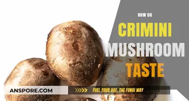 Crimini Mushrooms: Earthy, Nutty, and Meaty Taste