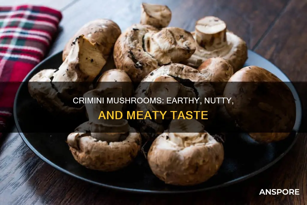 how do crimini mushrooms taste