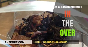 Dehydrating Mushrooms: An Easy Oven Guide