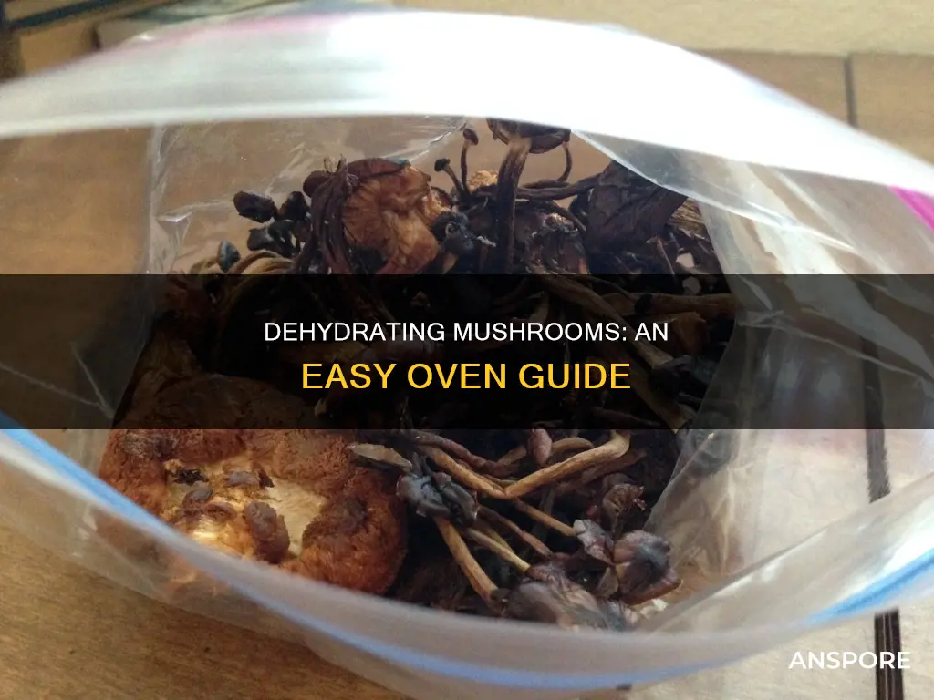 how do dehydrate mushrooms in the over