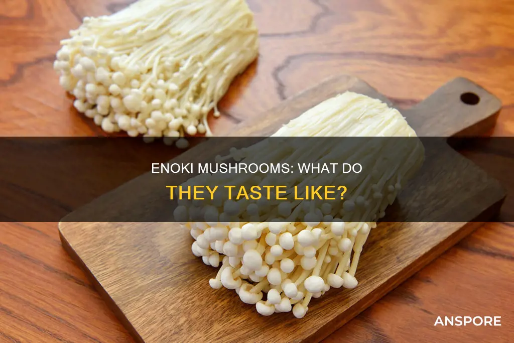 how do enoki mushrooms taste