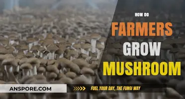 Mastering Mushroom Cultivation: Essential Techniques for Farmers to Grow Fungi