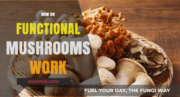 Mushroom Magic: How Do They Work?