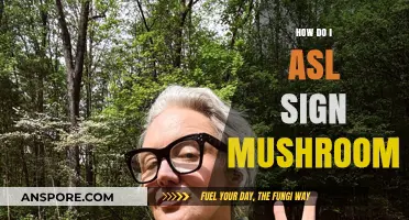 Learn the ASL Sign for 'Mushroom