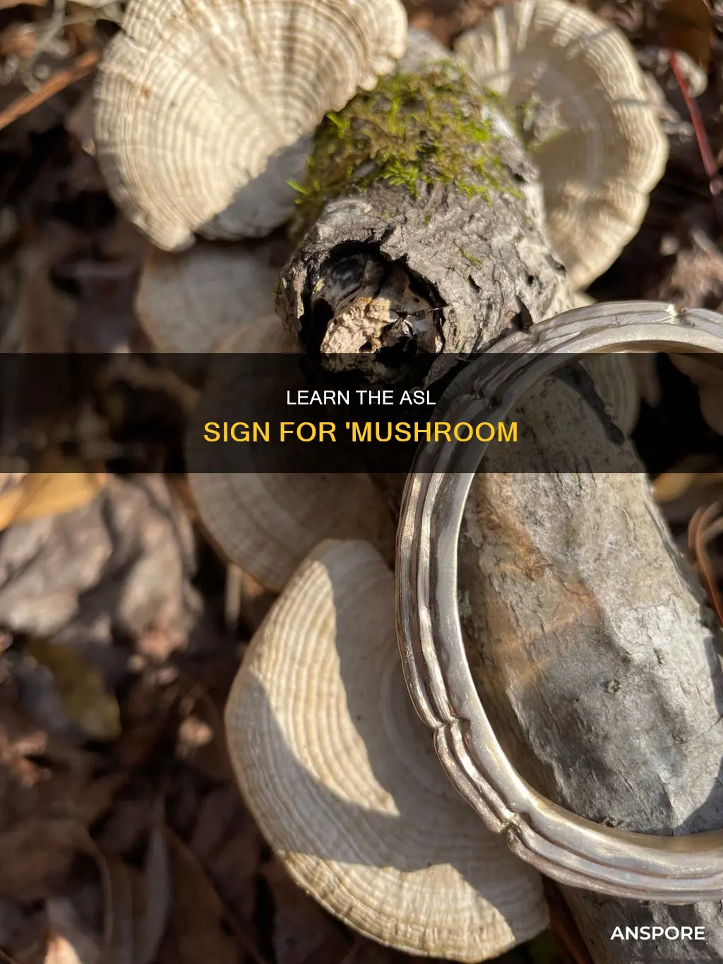 how do i asl sign mushroom