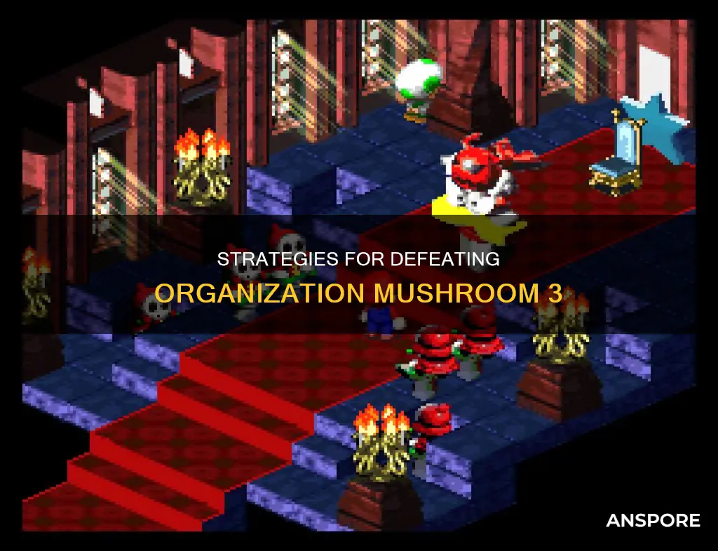 how do i beat organization mushroom 3