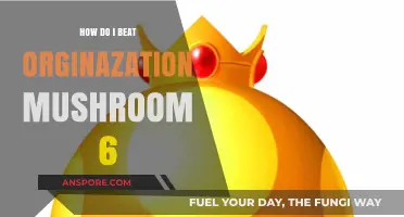 Strategies to Conquer Organization Mushroom 6