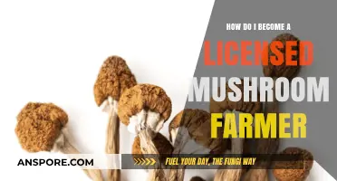 Steps to Become a Licensed Mushroom Farmer