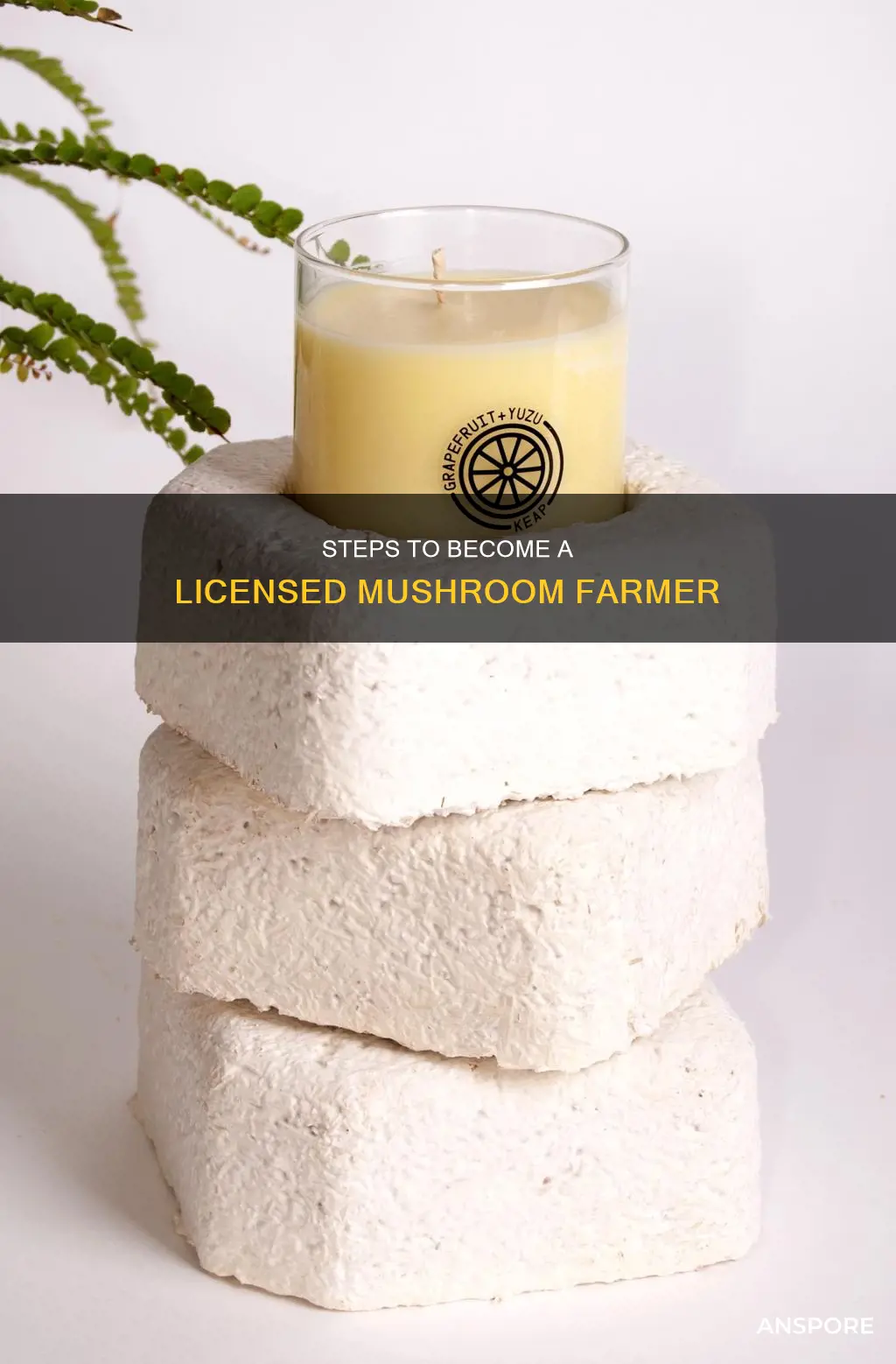 how do i become a licensed mushroom farmer