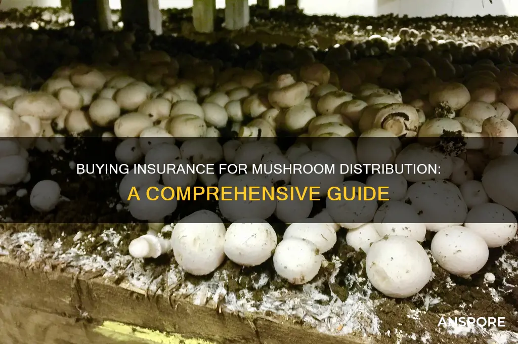 how do i buy insurance to be a mushroom distributor