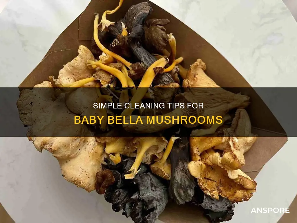how do i clean baby bella mushrooms