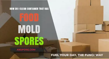 Effective Ways to Clean Moldy Food Containers Safely and Thoroughly