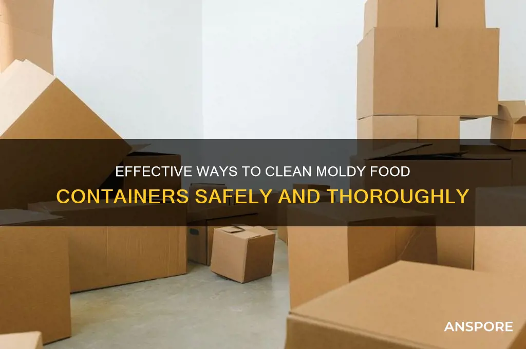 how do i clean container that has food mold spores