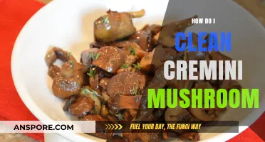 Cleaning Cremini Mushrooms: A Step-by-Step Guide