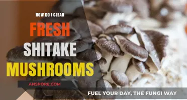 Cleaning Fresh Shiitake Mushrooms: A Step-by-Step Guide