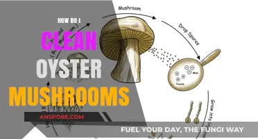 The Ultimate Guide: Cleaning Oyster Mushrooms
