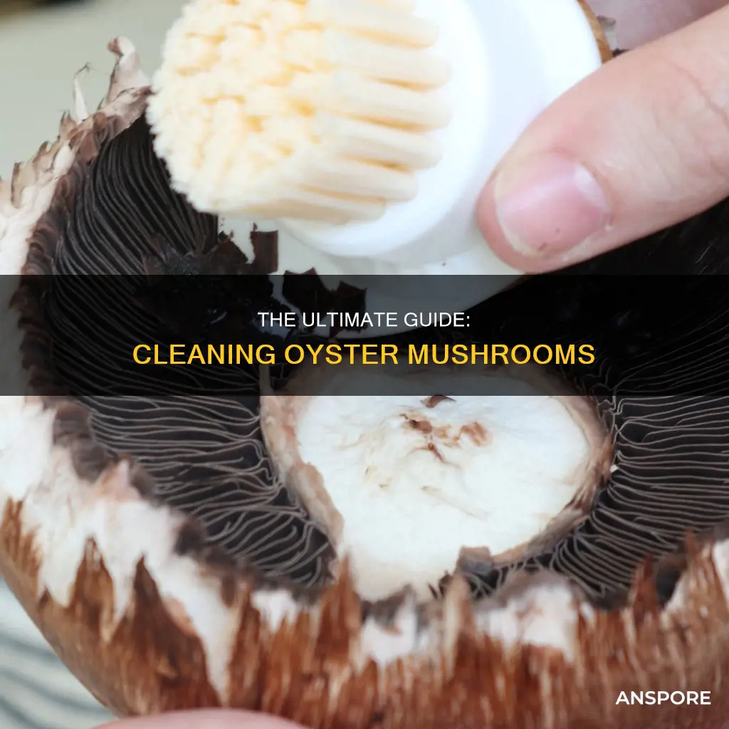 how do i clean oyster mushrooms
