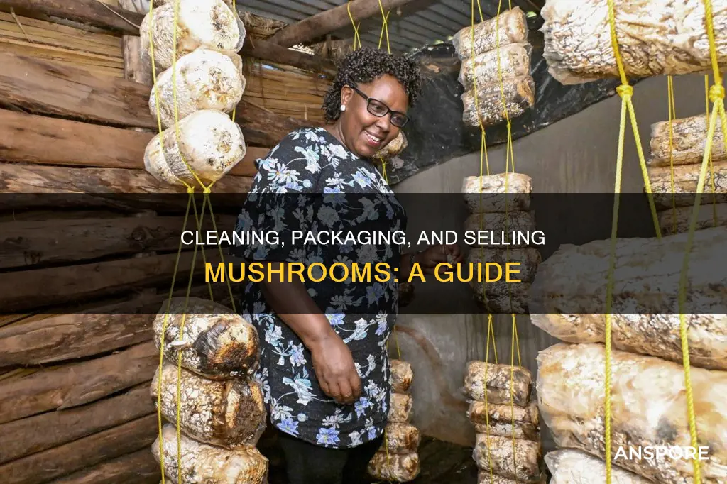 how do i clean package and sell mushrooms